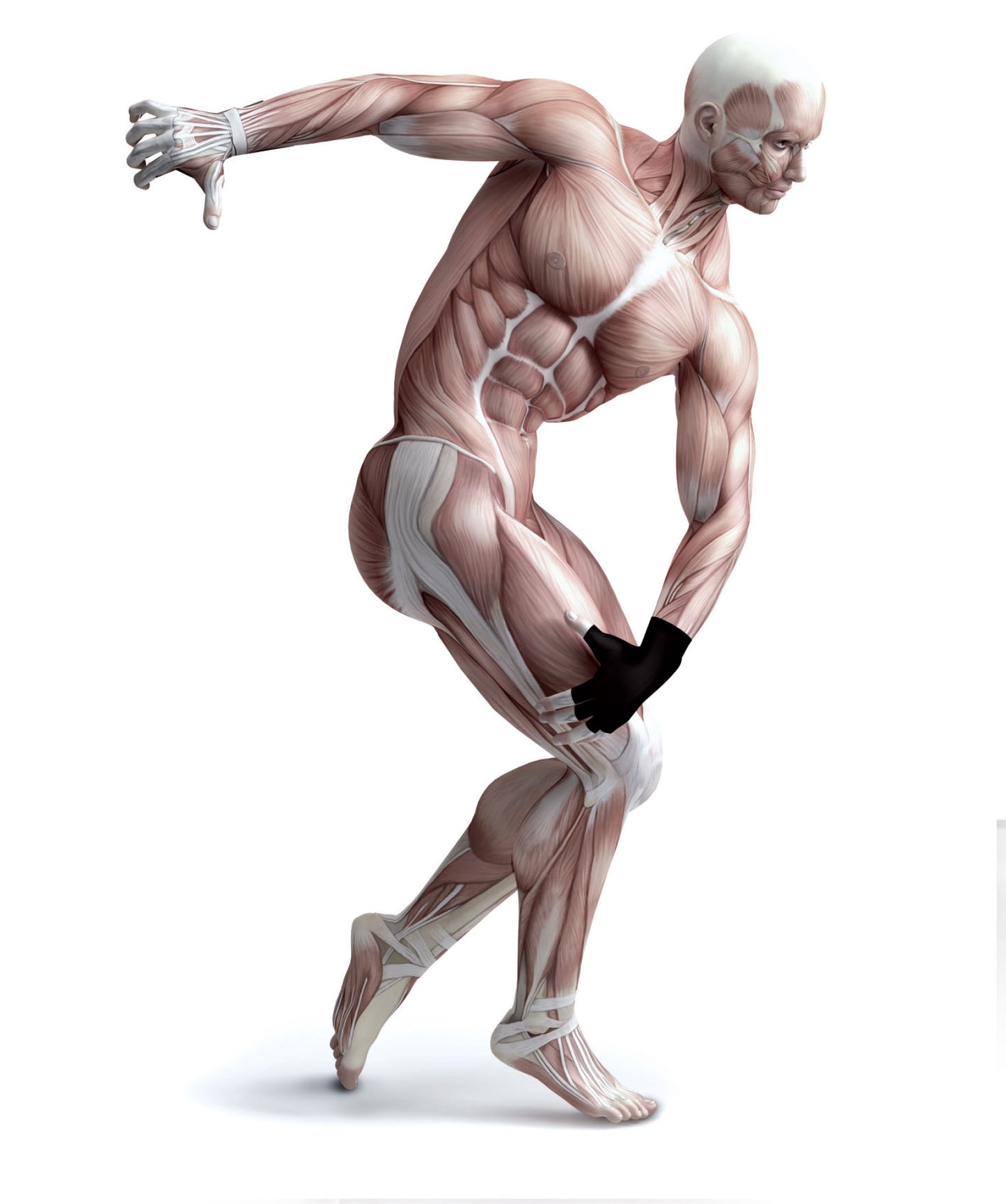 UNISEX BODYGUARD MITT