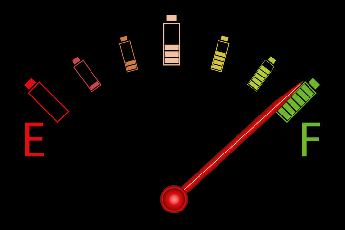 Accapi Infrared Recovery Meter